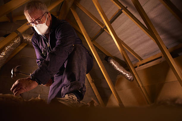 Best Eco-Friendly Insulation in Los Alamos, NM